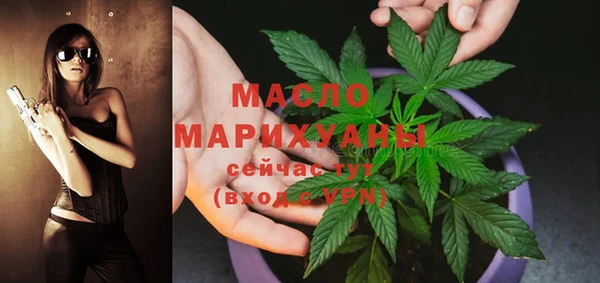 дмт Мегион