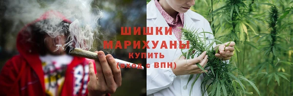 дмт Мегион