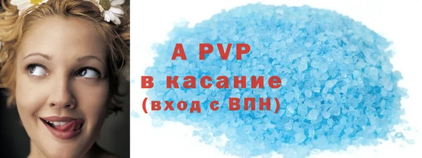 PSILOCYBIN Медвежьегорск