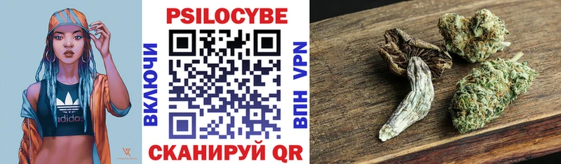 Псилоцибиновые грибы прущие грибы  Новохопёрск 